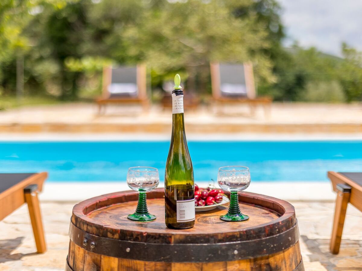 Villa Podrugovi Dvori – Maison avec piscine privée - Photo 31