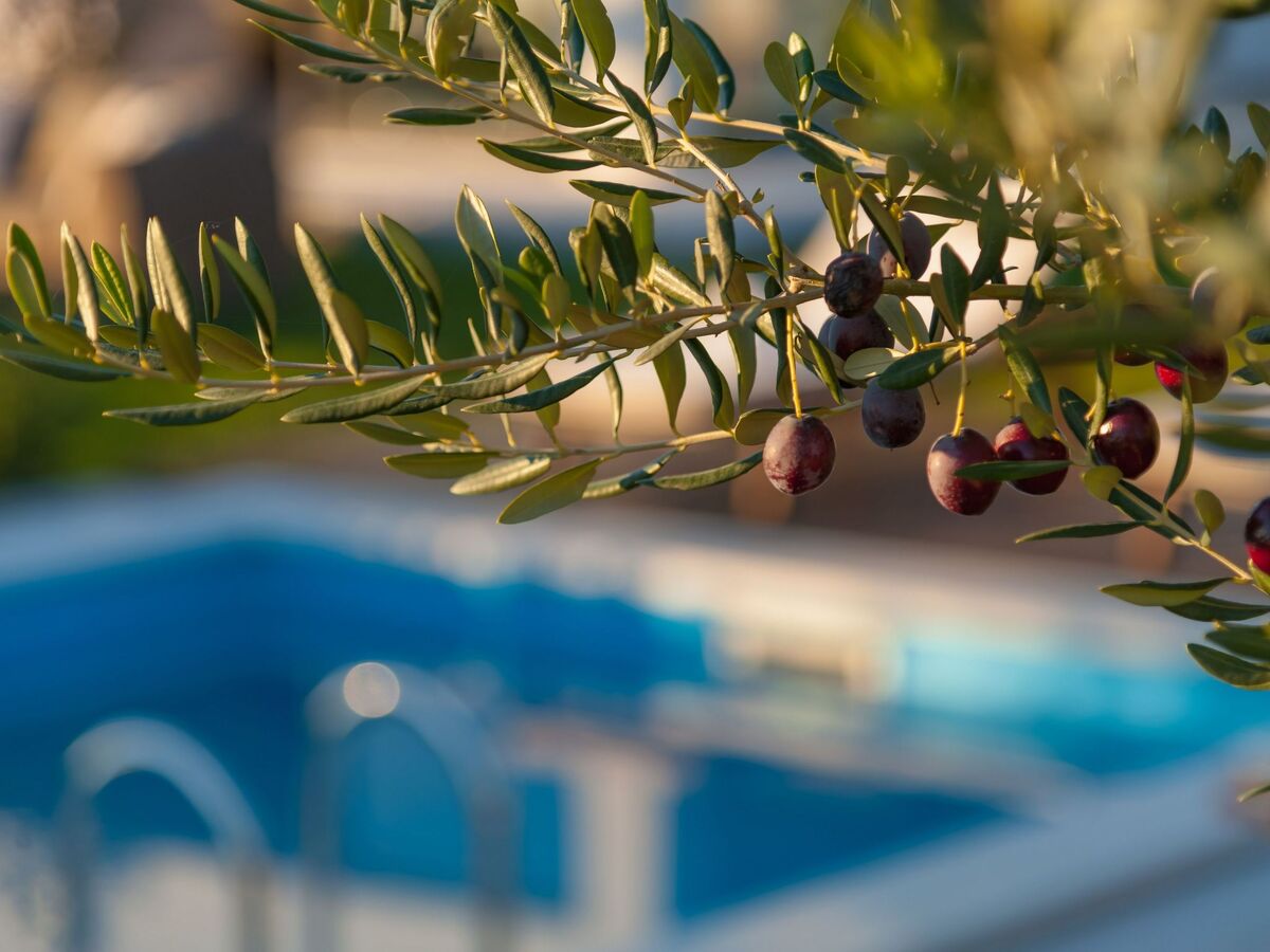 Olive Garden - Villa de luxe avec piscine privée - Photo 35