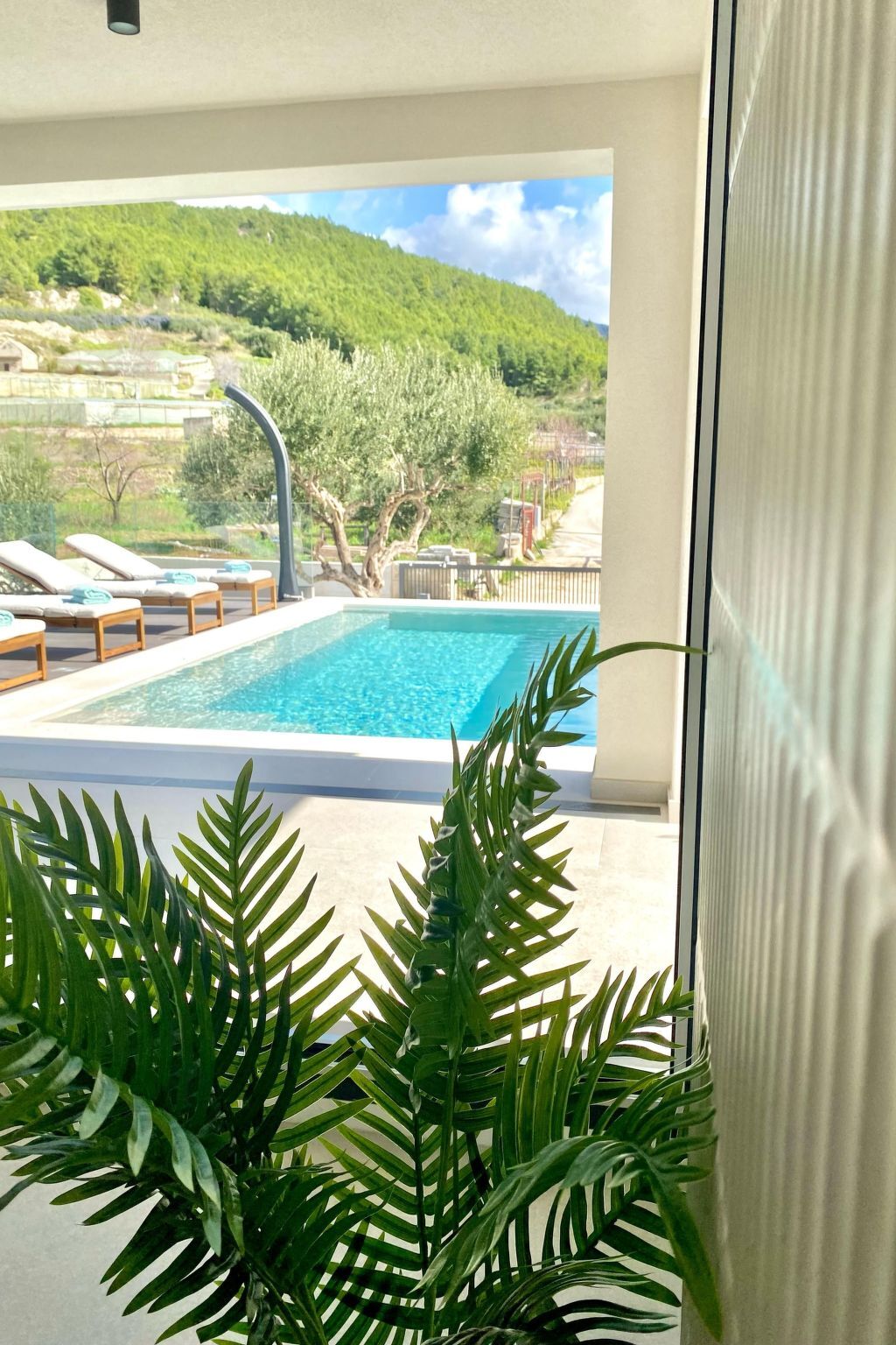 Villa Zaban, piscine infinity chauffée près de Split - Photo 5
