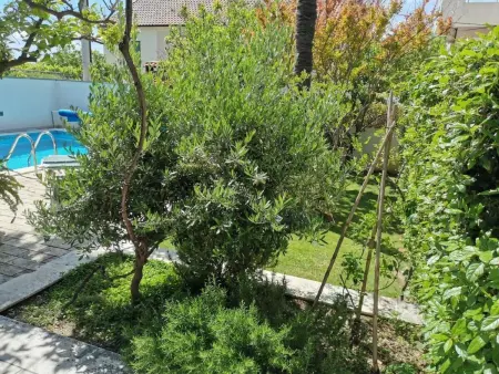 Maison 5 chambres avec piscine chauffée face à la mer : photo 20