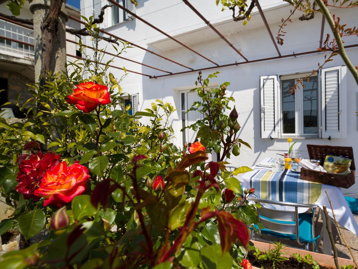Villa Dororeja – Maison 6 pers., piscine privée, Drvenik Mali - Photo 9