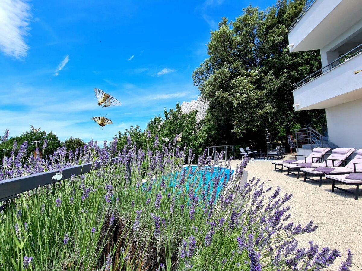 Jure – Maison 5 chambres avec piscine privée à Bast - Photo 2