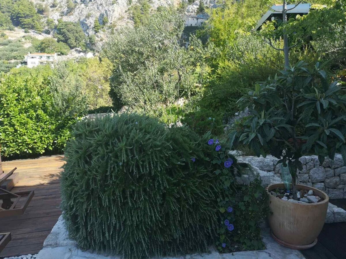 Maison avec jacuzzi vue mer à Makarska - Photo 6