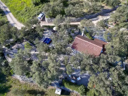 Maison Dora à Makarska avec jacuzzi et jardin : photo 7