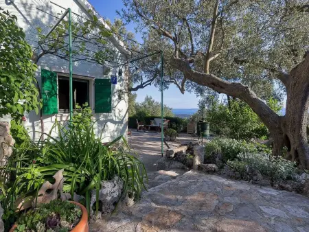 Maison Dora à Makarska avec jacuzzi et jardin : photo 35