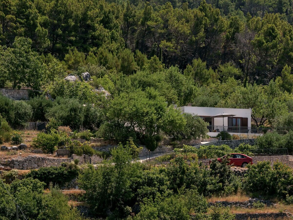 Maison Tome : 2500 m² d'oliviers face à la mer - Photo 2