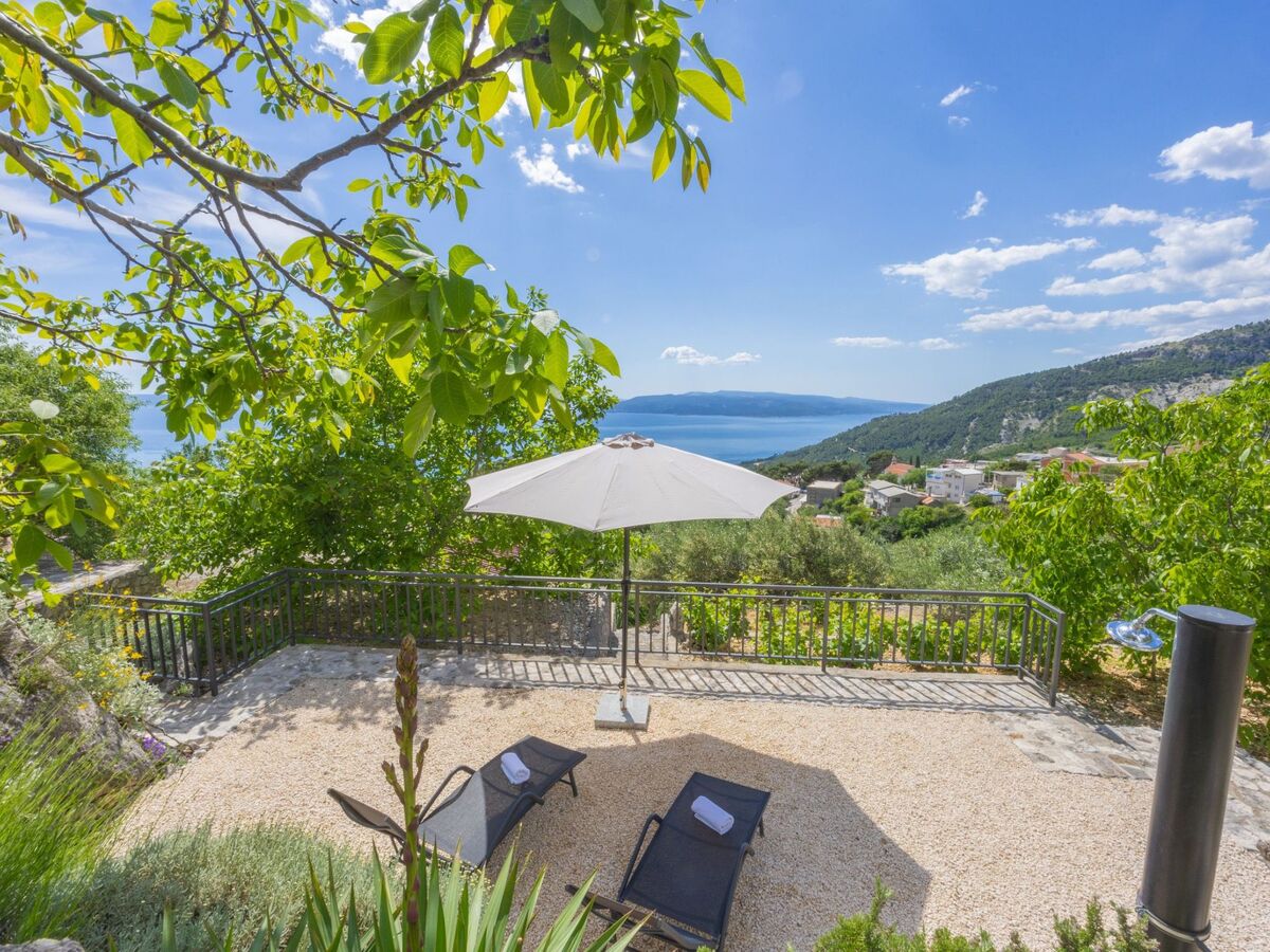Maison Tome : 2500 m² d'oliviers face à la mer - Photo 3