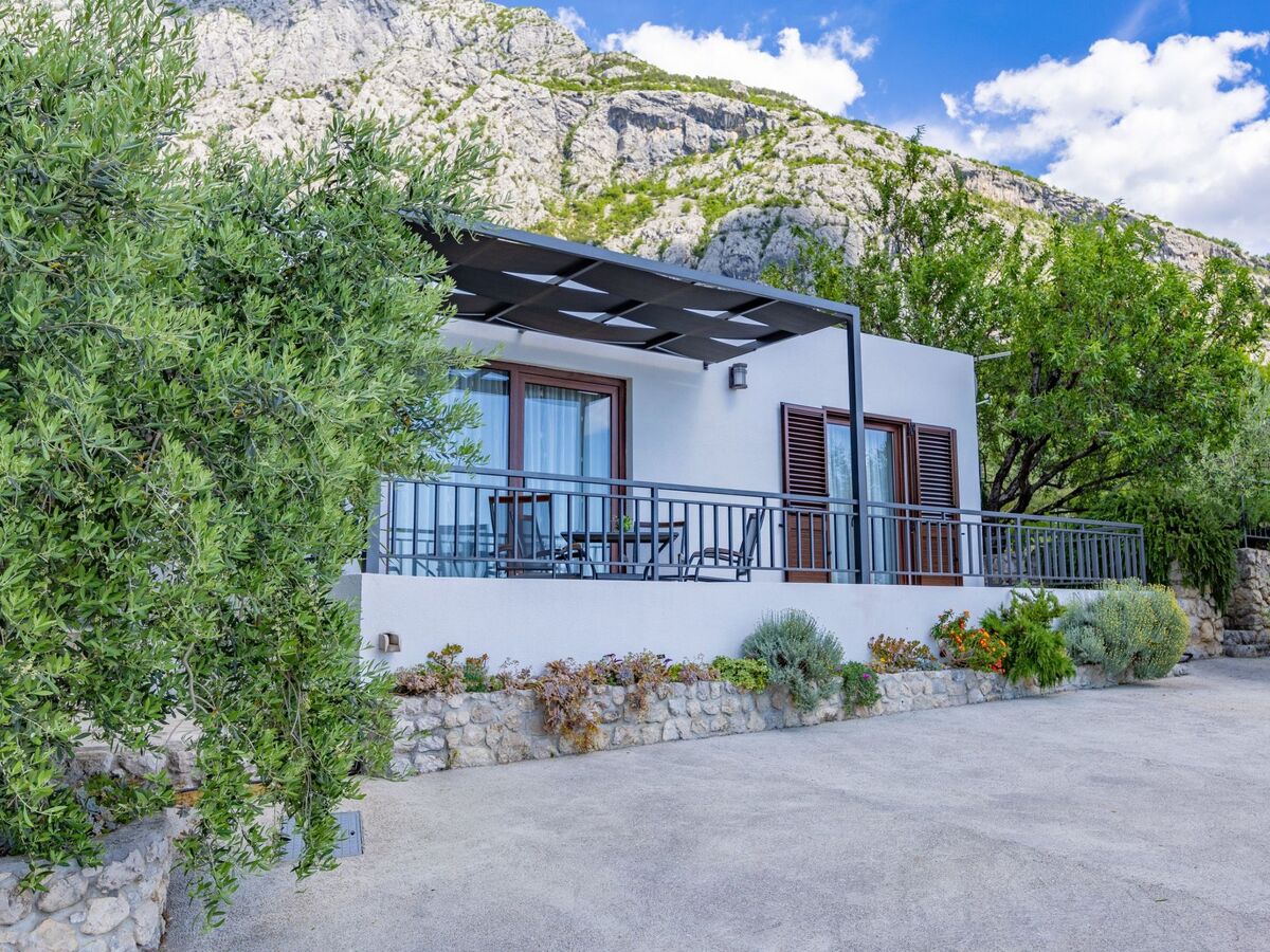 Maison Tome : 2500 m² d'oliviers face à la mer - Photo 4