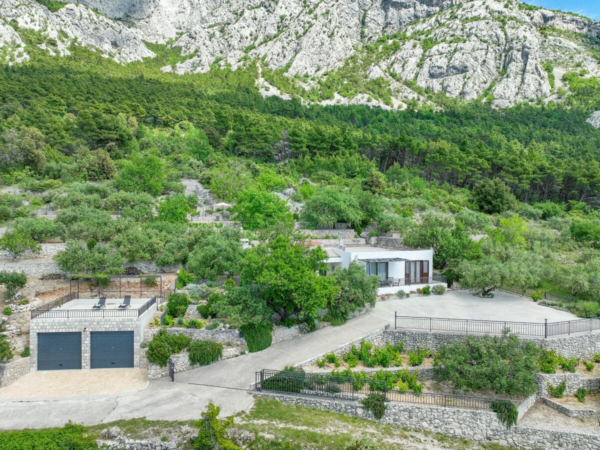 Maison Tome : 2500 m² d'oliviers face à la mer - Photo 6