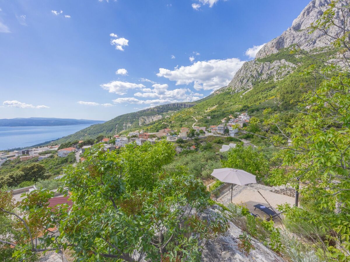 Maison Tome : 2500 m² d'oliviers face à la mer - Photo 9