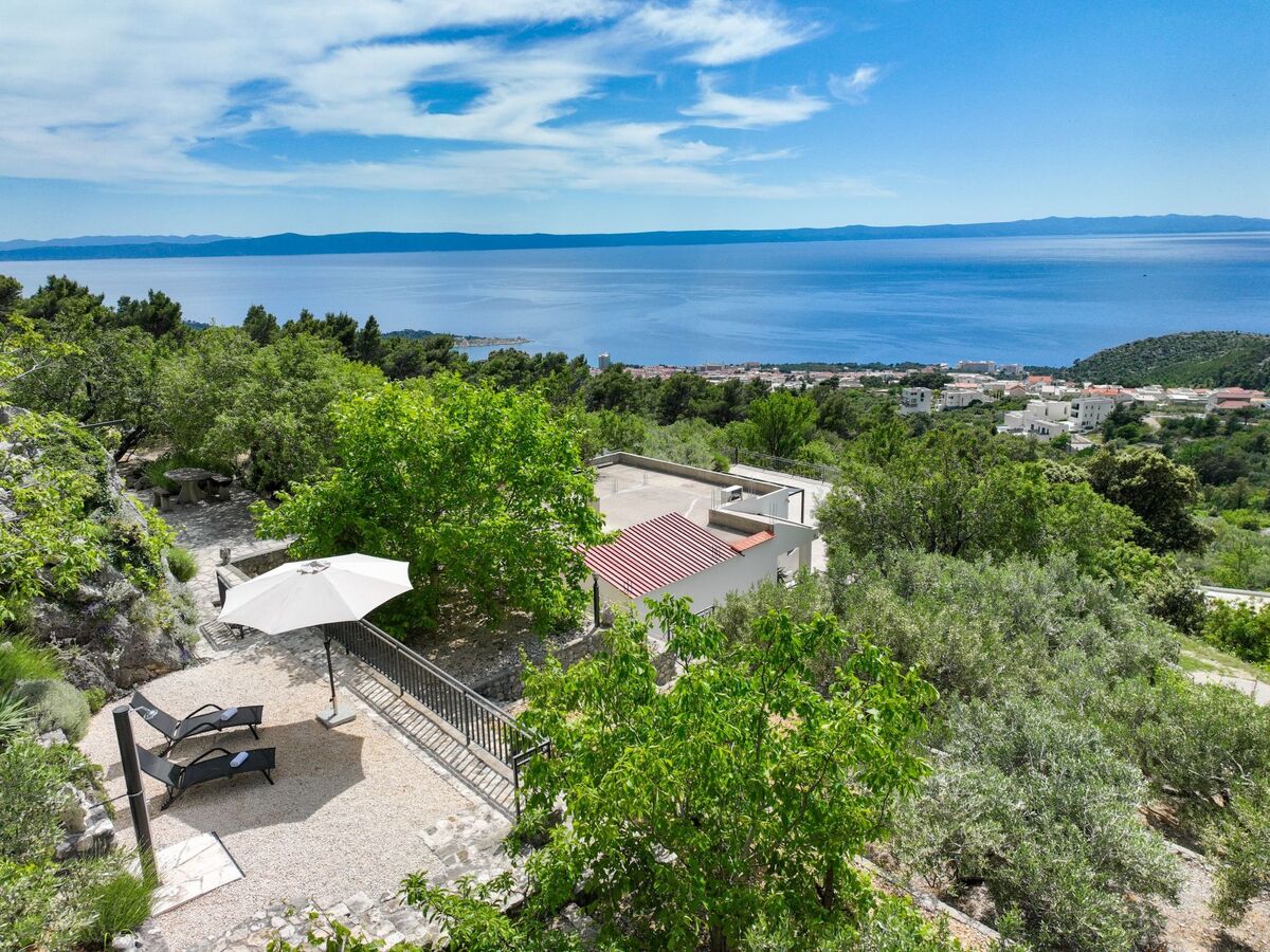 Maison Tome : 2500 m² d'oliviers face à la mer - Photo 10