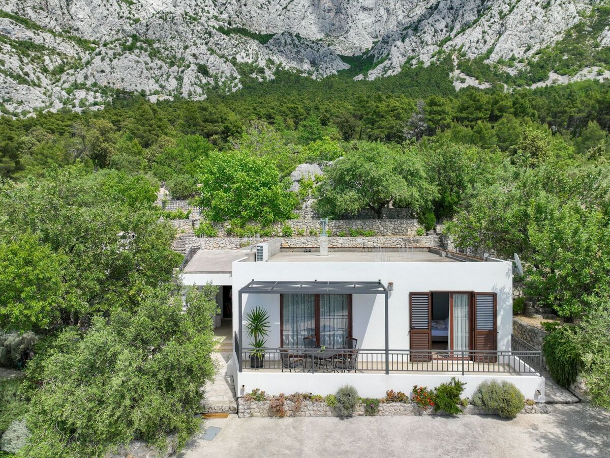 Maison Tome : 2500 m² d'oliviers face à la mer - Photo 11