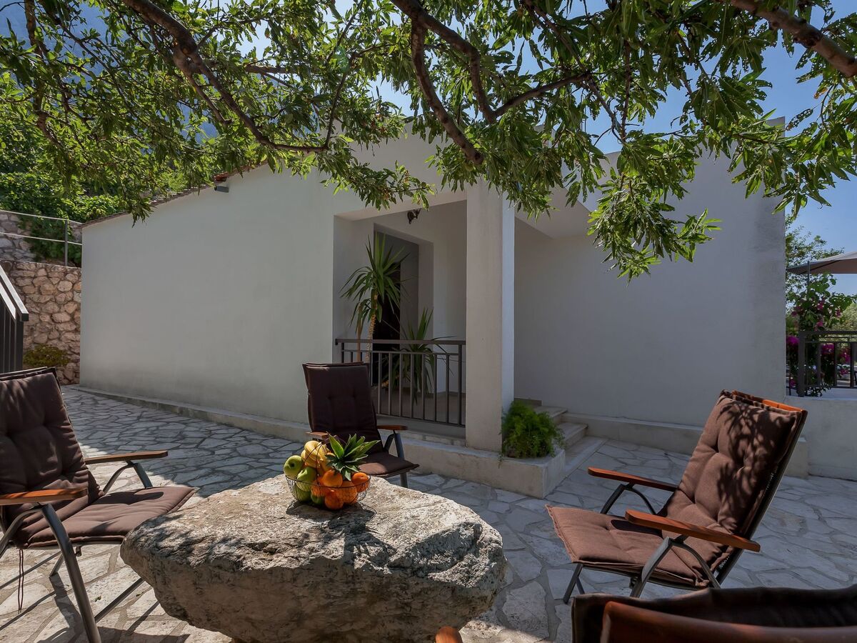 Maison Tome : 2500 m² d'oliviers face à la mer - Photo 14
