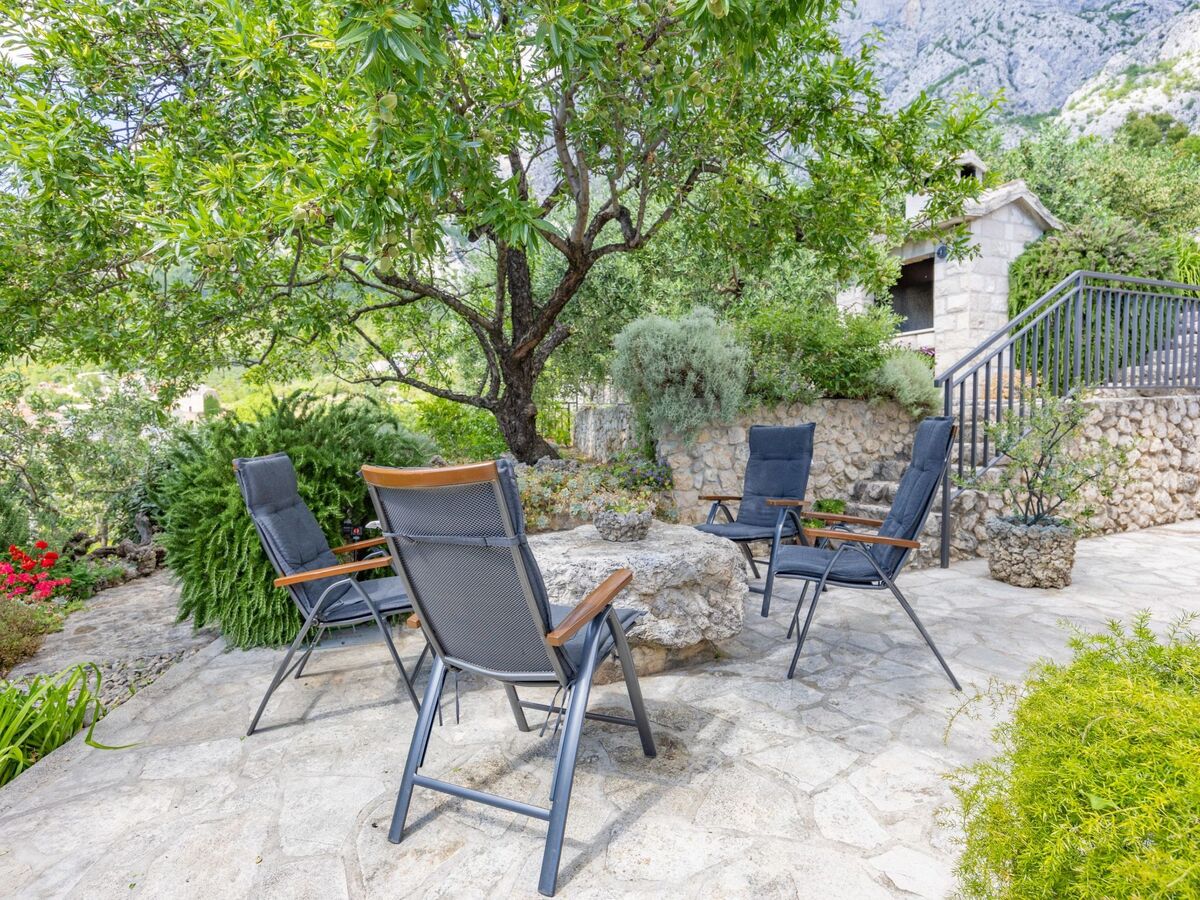 Maison Tome : 2500 m² d'oliviers face à la mer - Photo 15