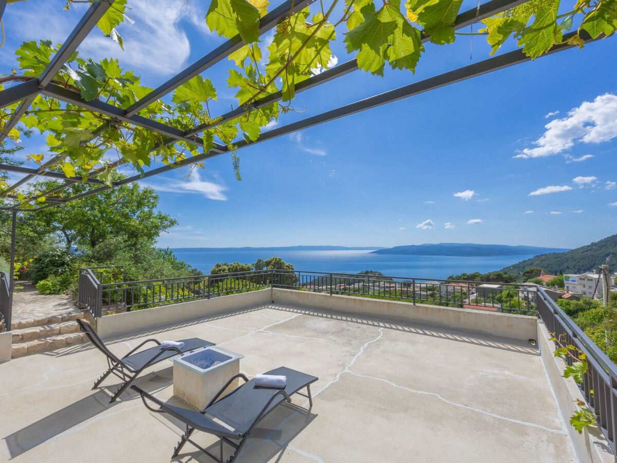 Maison Tome : 2500 m² d'oliviers face à la mer - Photo 16