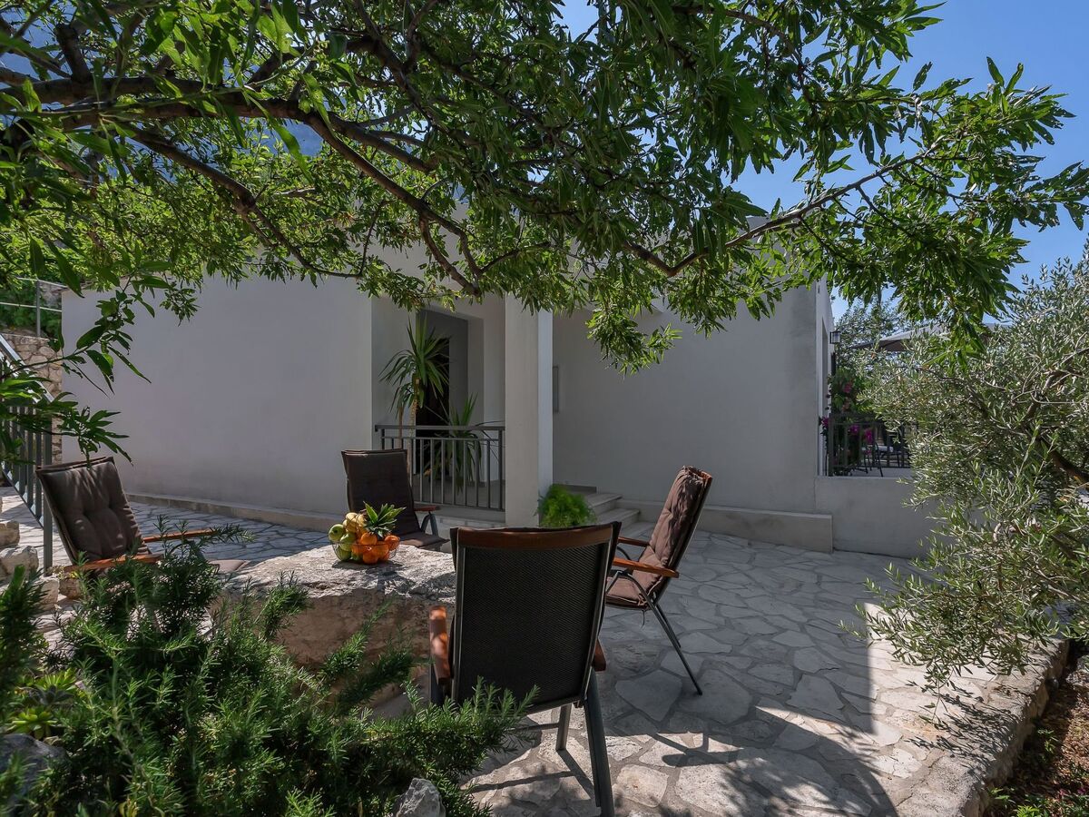 Maison Tome : 2500 m² d'oliviers face à la mer - Photo 17