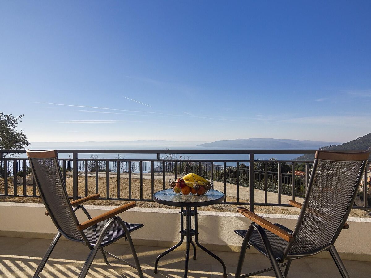 Maison Tome : 2500 m² d'oliviers face à la mer - Photo 19