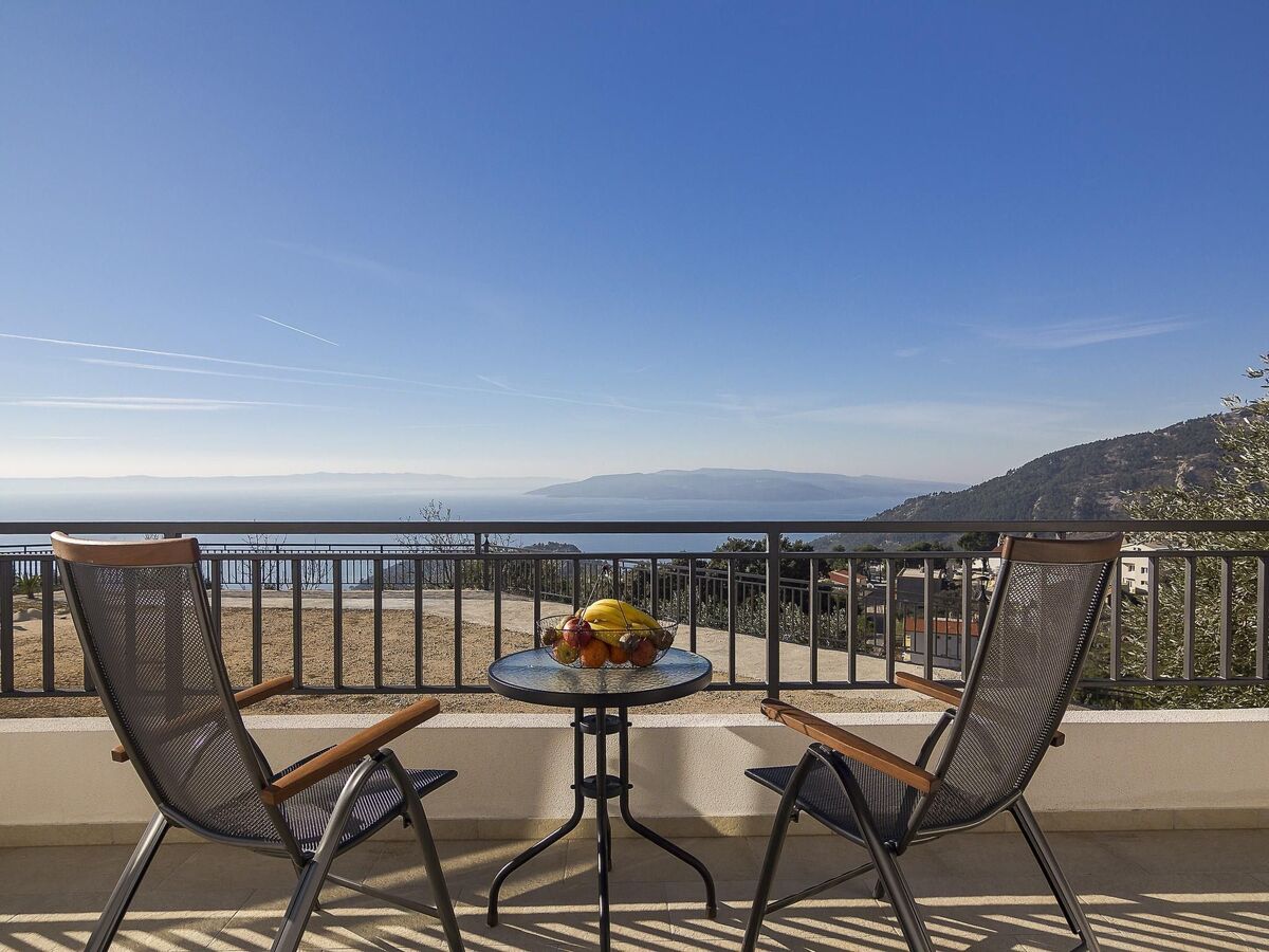 Maison Tome : 2500 m² d'oliviers face à la mer - Photo 39