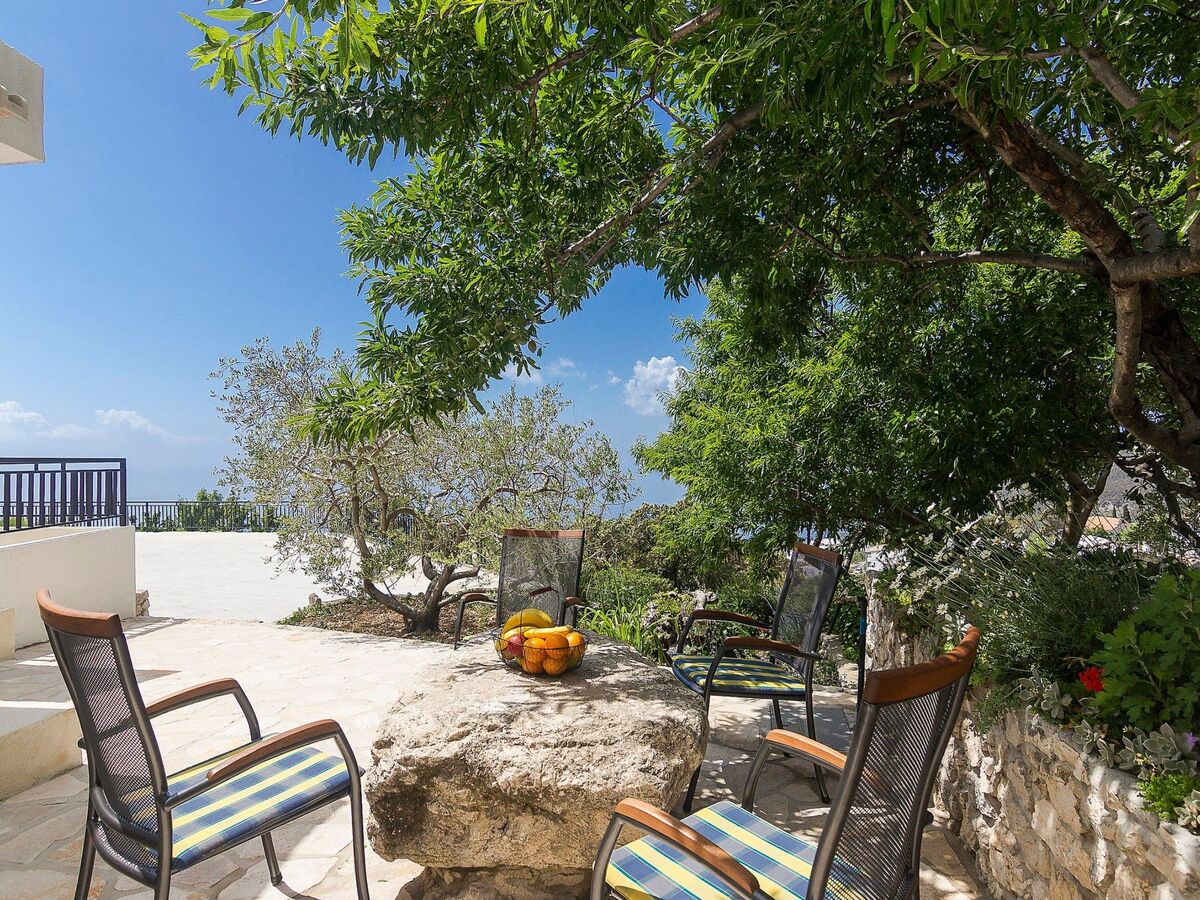 Maison Tome : 2500 m² d'oliviers face à la mer - Photo 40