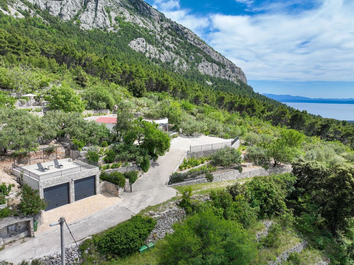 Maison Tome : 2500 m² d'oliviers face à la mer - Photo 43