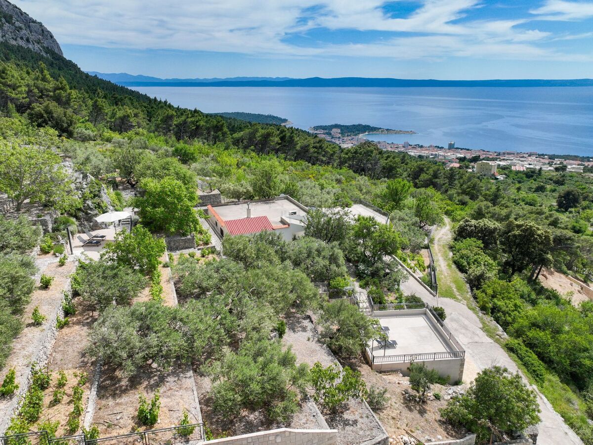 Maison Tome : 2500 m² d'oliviers face à la mer - Photo 46