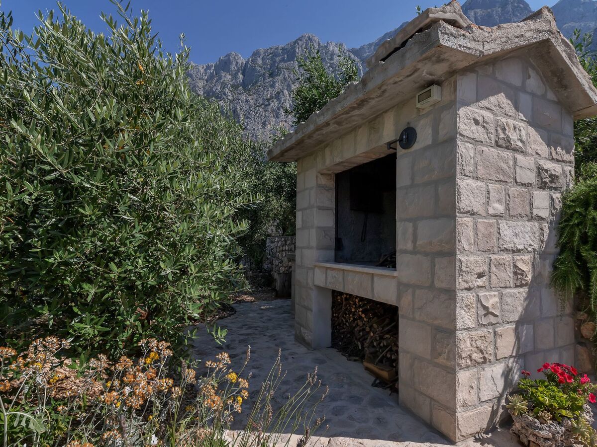Maison Tome : 2500 m² d'oliviers face à la mer - Photo 47