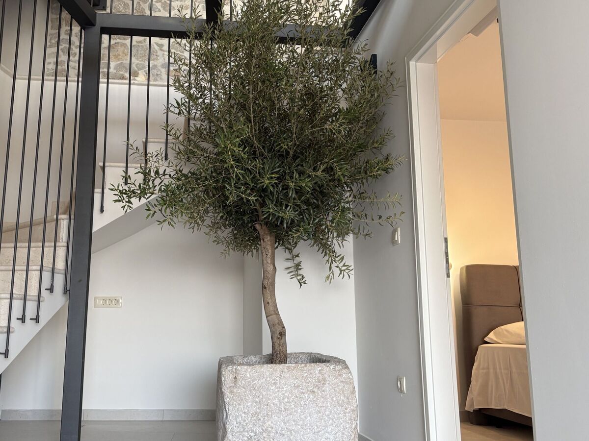 Marena, maison dalmate rénovée à Podgora - Photo 8
