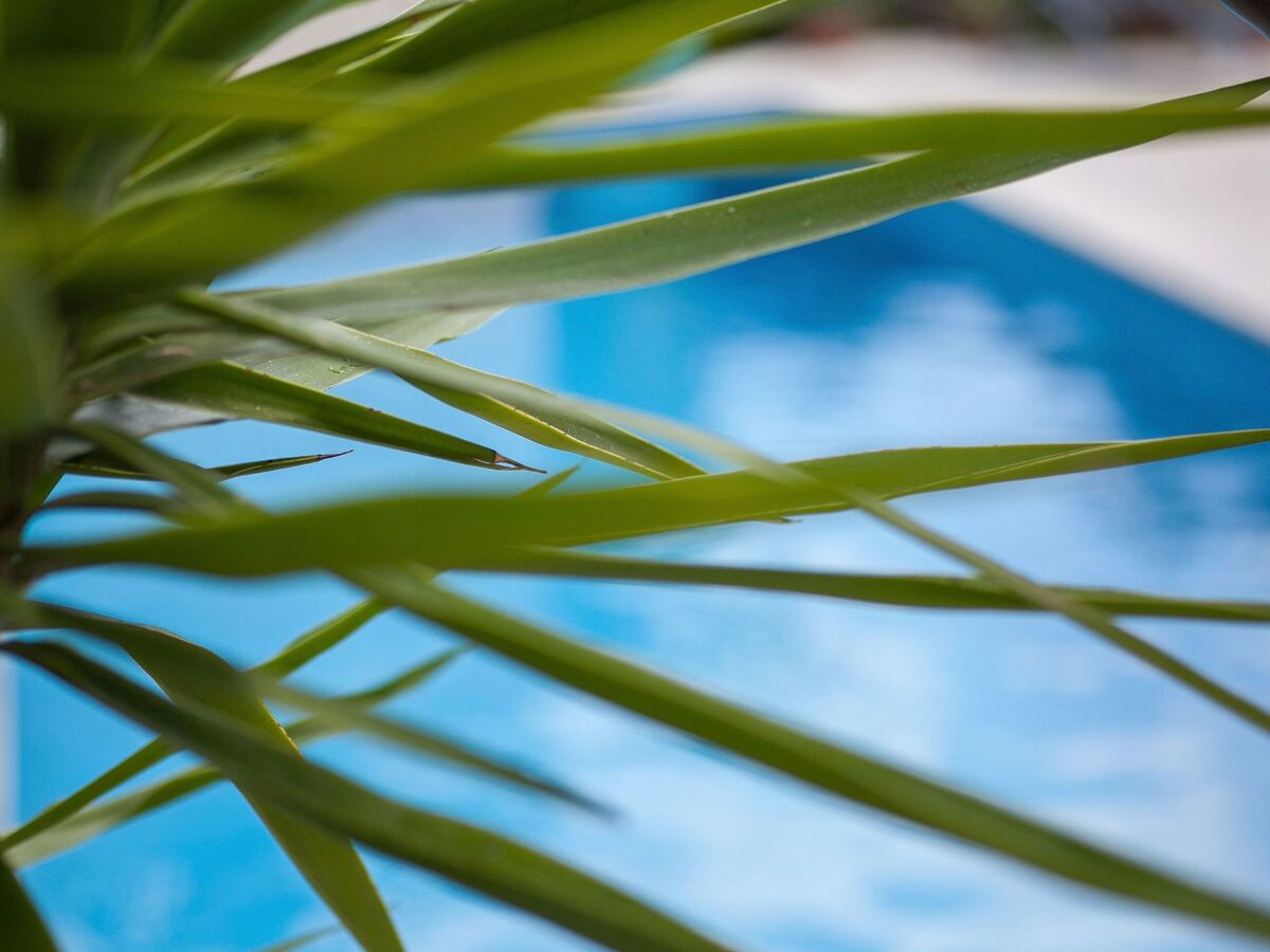 Villa Kulturerbe avec piscine et vue mer à Podgora - Photo 36