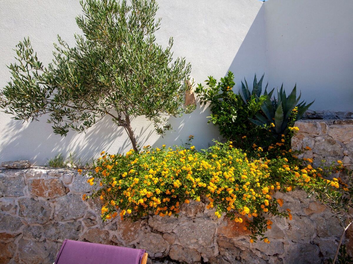 Villa en pierre dalmate avec piscine privée à Podgora - Photo 14
