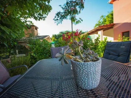 Villa 8 pers. Grubine : piscine privée et jardin : photo 48