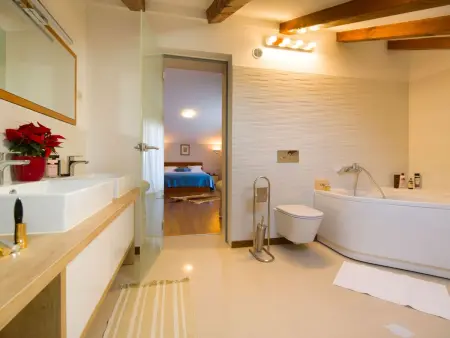 Villa Domus Dominica, piscine privée et terrasse à Donji Vinjani : photo 16