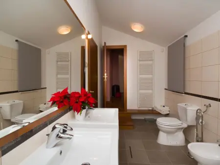 Villa Domus Dominica, piscine privée et terrasse à Donji Vinjani : photo 22