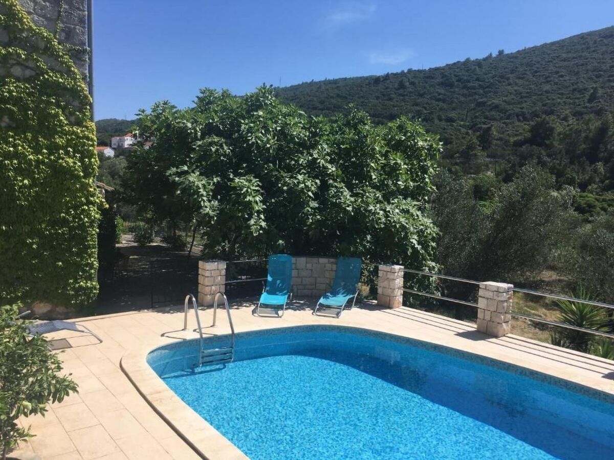 Kastil – Maison 8 pers. avec piscine privée à Zrnovo - Photo 4