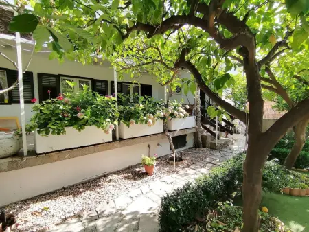 Maison 3 chambres avec jardin et terrasses à Orebić : photo 8
