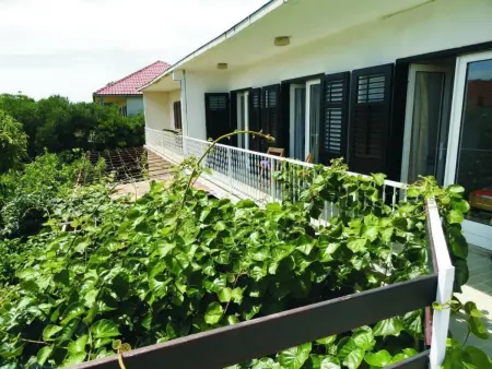 Maison 3 chambres avec jardin et terrasses à Orebić : photo 32