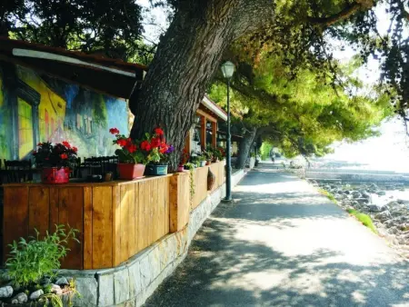 Maison 3 chambres avec jardin et terrasses à Orebić : photo 47