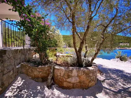 Maison avec plage privée à Putniković : photo 7