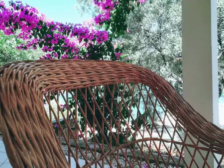 Maison avec plage privée à Putniković : photo 42