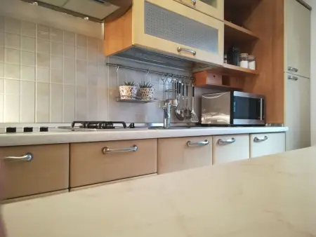 Maison avec plage privée à Putniković : photo 48