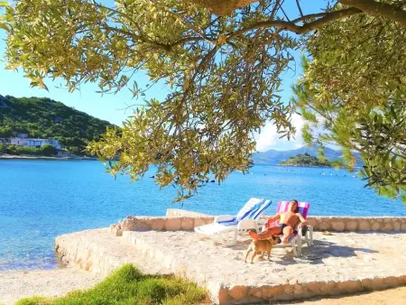 Maison avec plage privée à Putniković : photo 53