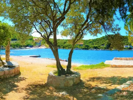 Maison avec plage privée à Putniković : photo 54