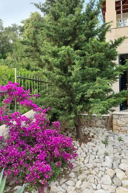 Villa Hera, maison 8 personnes avec piscine face à la mer : photo 42