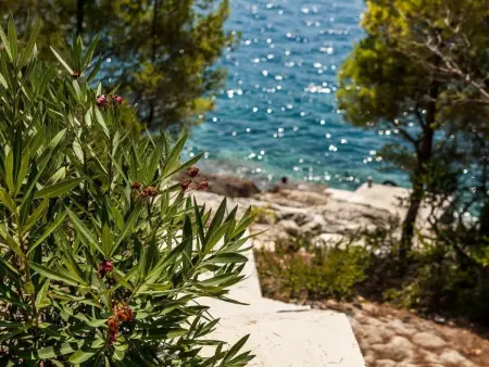 Villa Style and Sea – Korčula, 12 pers., piscine infinity : photo 45