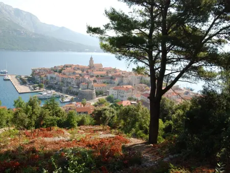 Villa Mila, maison 5 chambres pour 8 personnes à Vela Luka : photo 23
