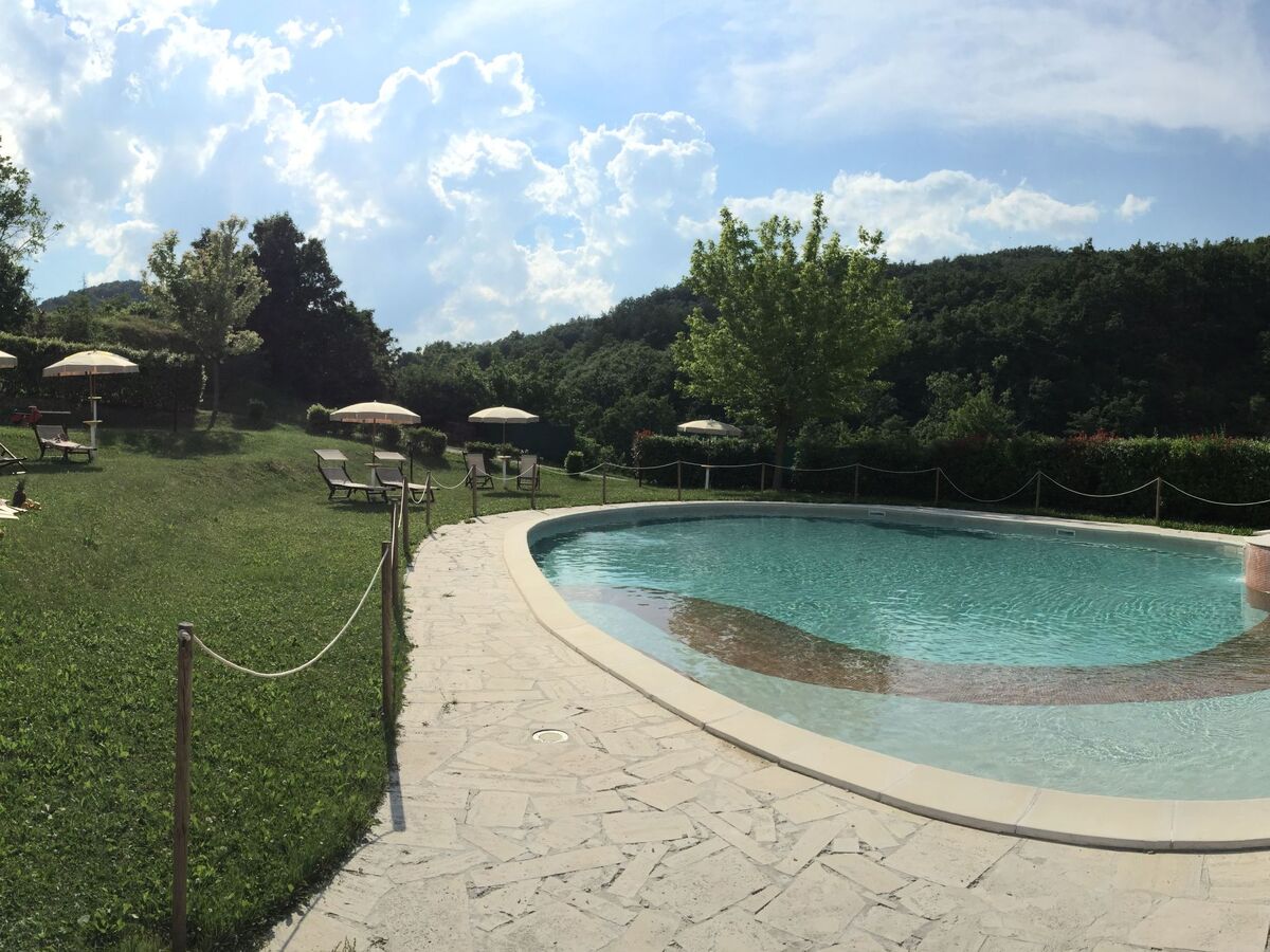 Appartement 5 chambres avec piscine privée à Sant'Angelo in Vado - Photo 37
