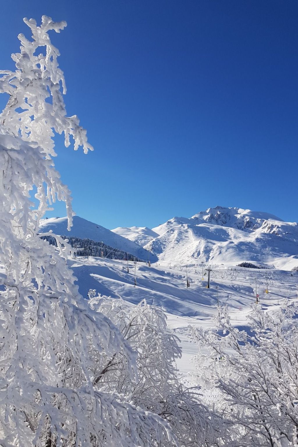 Casa Nevosa : appartement 4 pers. balcon vue pistes - Photo 26