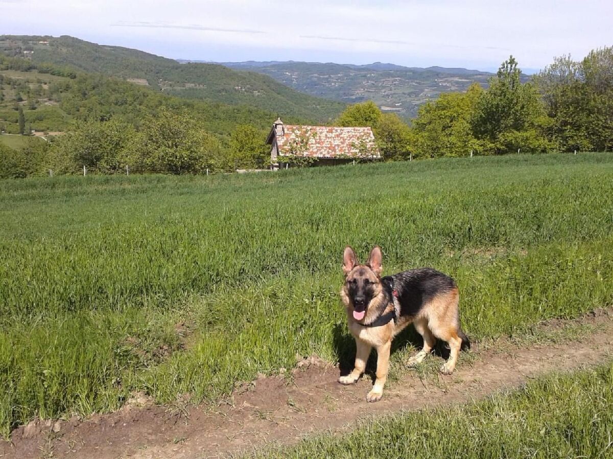 Caesar's Ciabòt - Maison historique en Piedmont - Photo 10