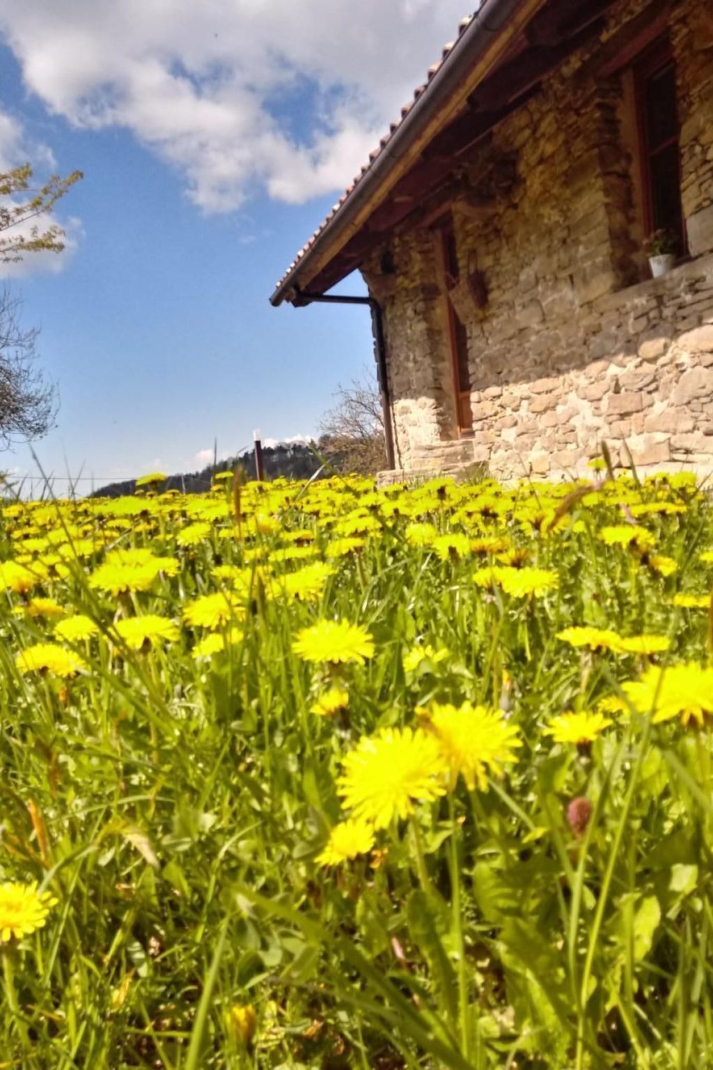 Caesar's Ciabòt - Maison historique en Piedmont - Photo 46
