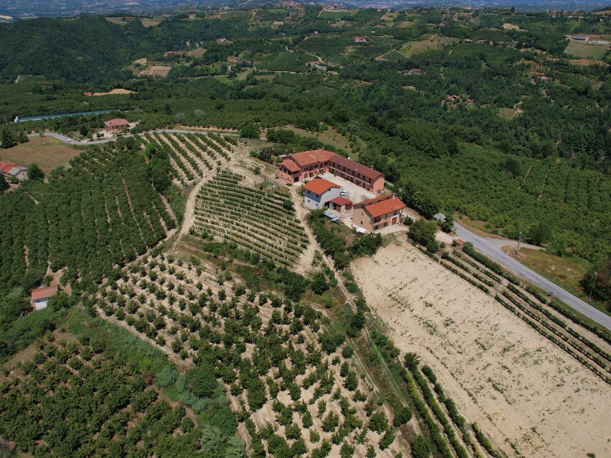 Appartement Al Brich à 650 m en Langhe, vue sur les Alpes - Photo 3