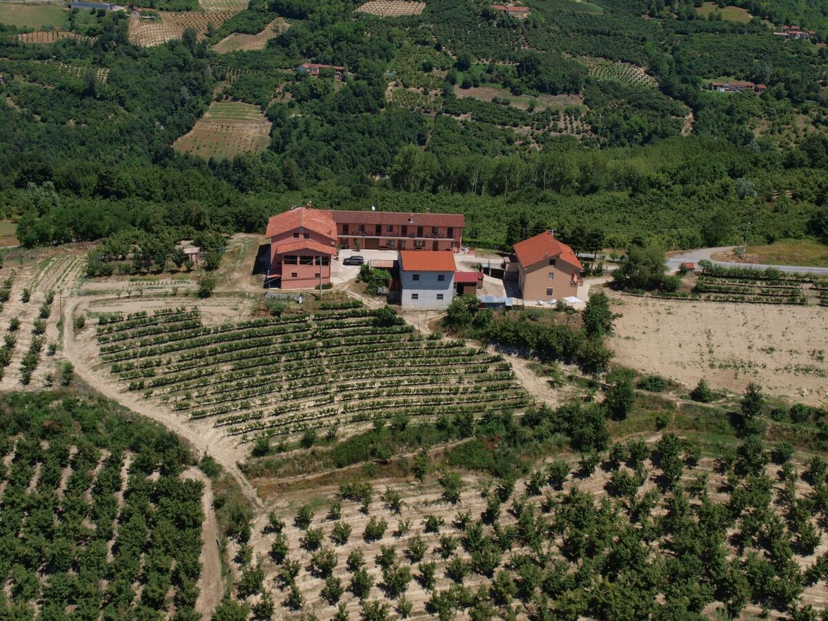 Appartement Al Brich à 650 m en Langhe, vue sur les Alpes - Photo 5